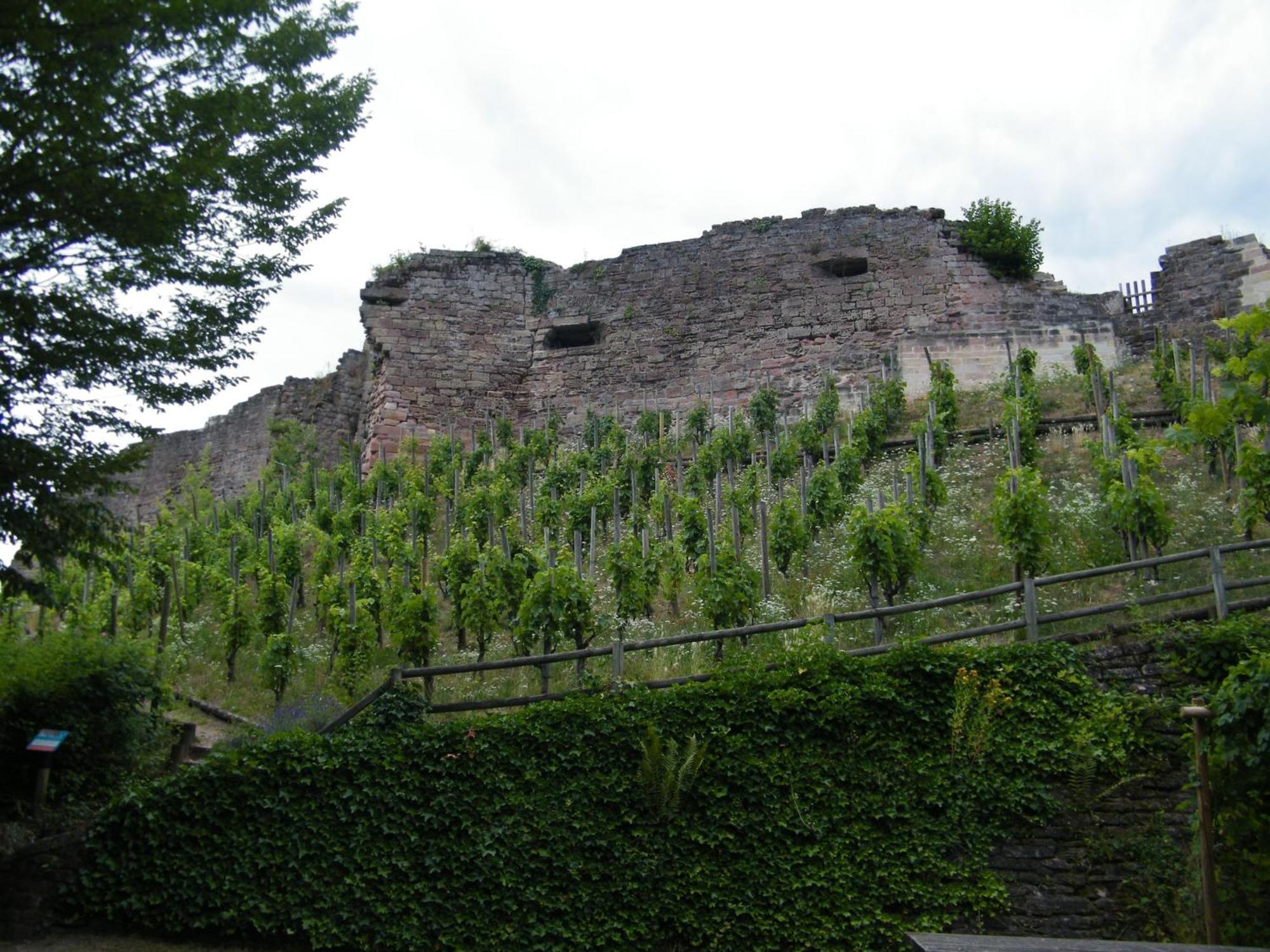 Chez Laurent Et Sandrine Chantraine Luaran gambar